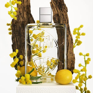 Clear perfume bottle with decorative elements on a white background