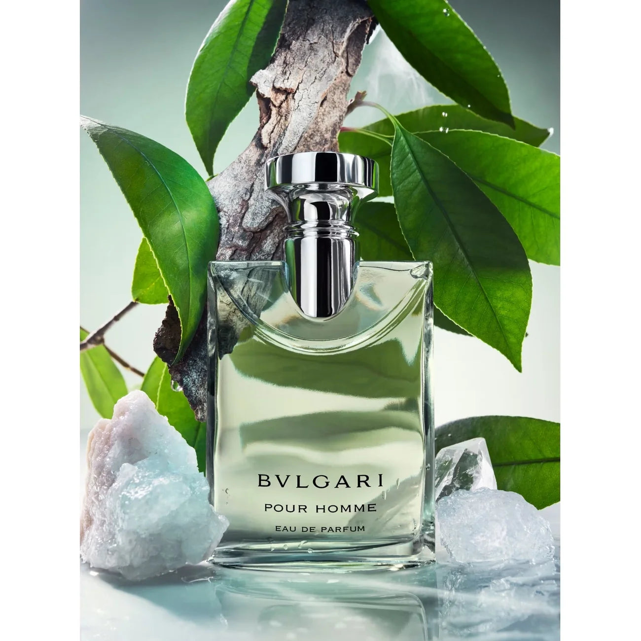 Bulgari Pour Homme perfume bottle with green leaves and rocks in the background