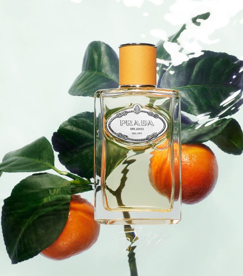 Prada Infusion De Mandarine Eau De Parfum 100ML – ROOYAS