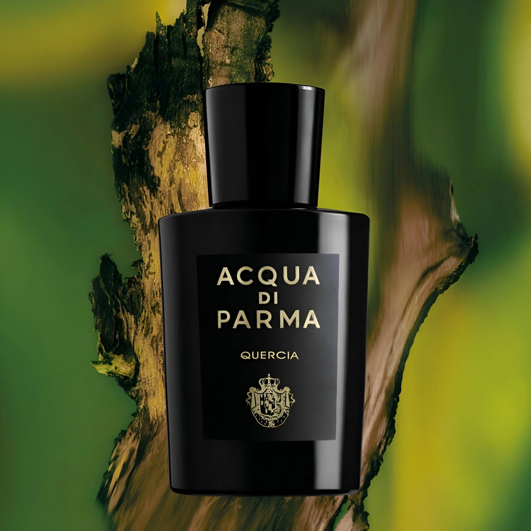 Black Acqua di Parma perfume bottle on a natural background
