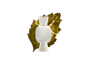 BVLGARI Allegra Magnifying Patchouli Eau De Parfum 40ML