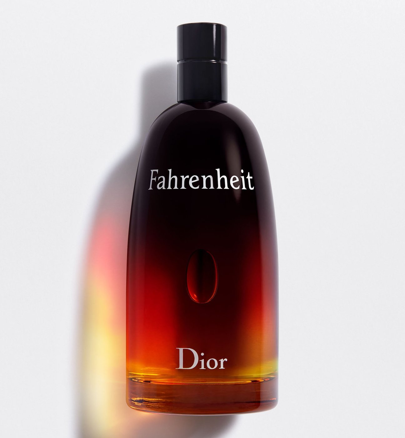 Christian Dior Fahrenheit Eau De Toilette 100ML - ROOYAS