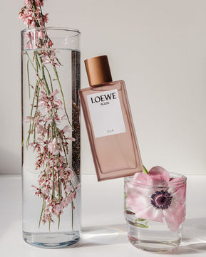 Loewe Agua Ella Eau De Toilette 100ML