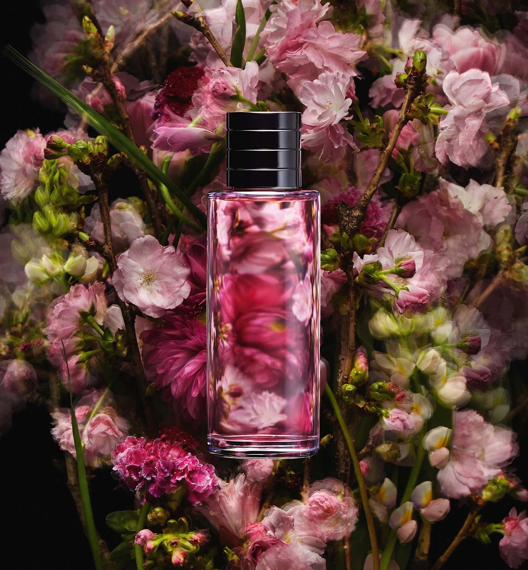 Sakura perfume dior hotsell