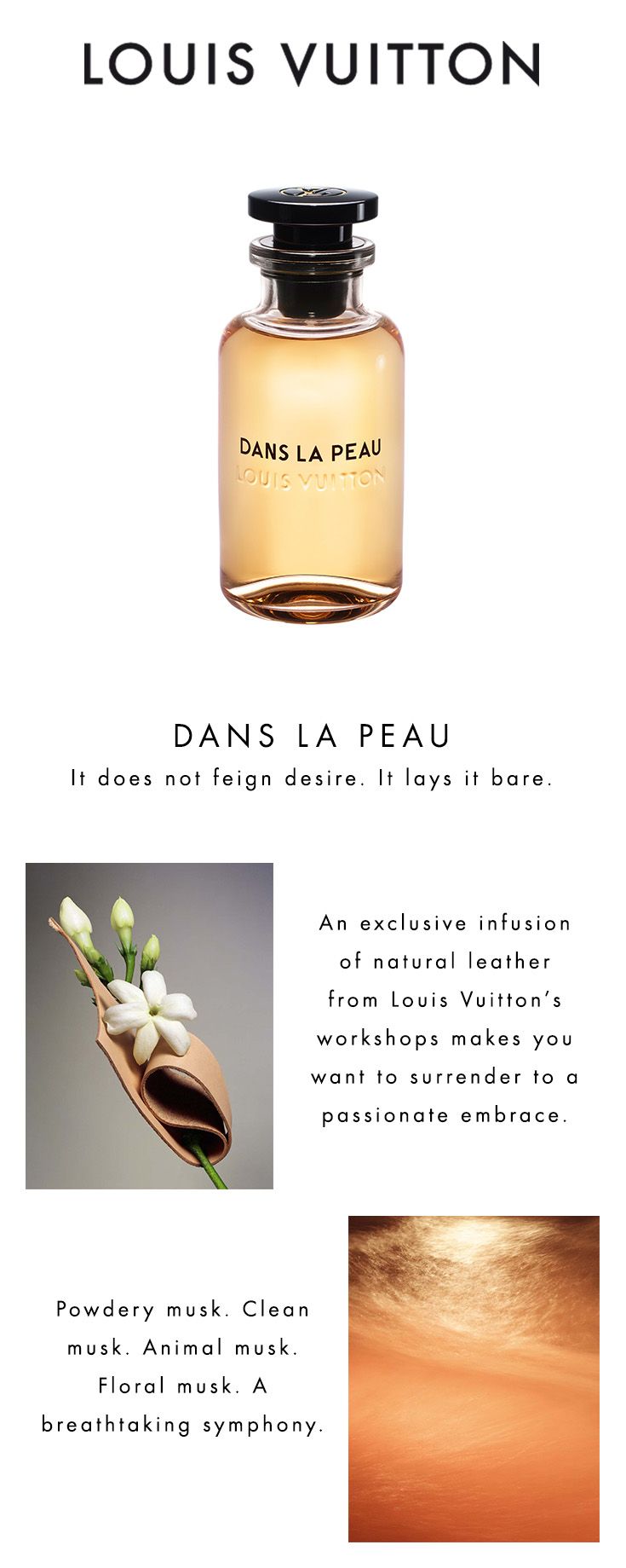 Louis Vuitton Dans la Peau Eau De Parfum 100ML - ROOYAS