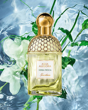 Guerlain Aqua Allegoria Herba Fresca Eau De Toilette 75ML