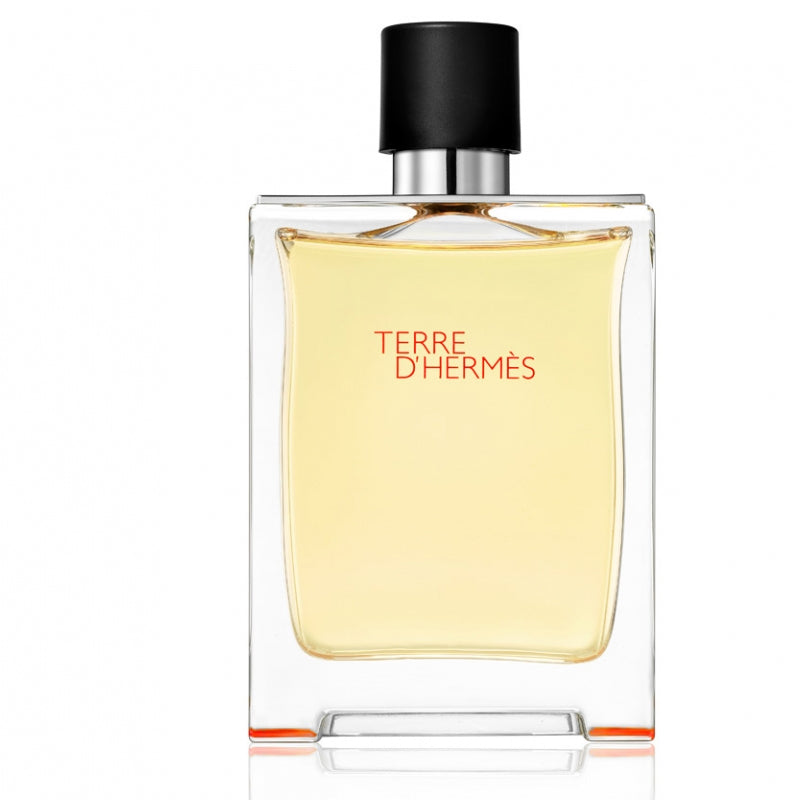 Hermes Terre D'Hermes H Bottle Eau De Toilette 100ML - ROOYAS